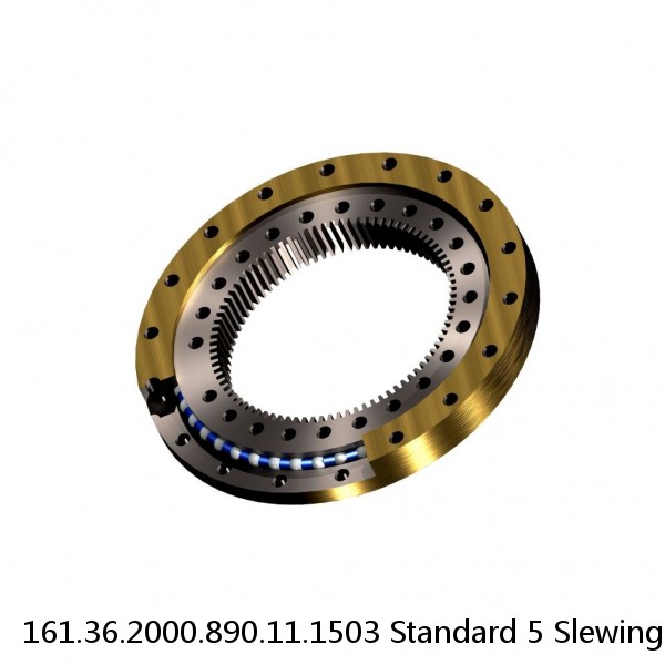 161.36.2000.890.11.1503 Standard 5 Slewing Ring Bearings