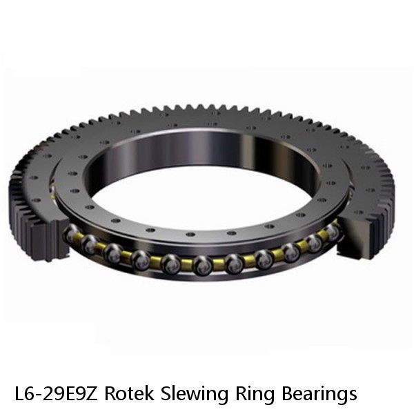 L6-29E9Z Rotek Slewing Ring Bearings