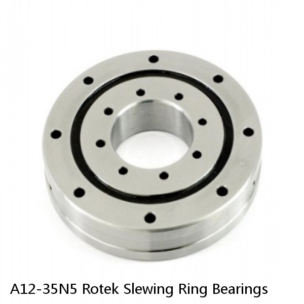 A12-35N5 Rotek Slewing Ring Bearings