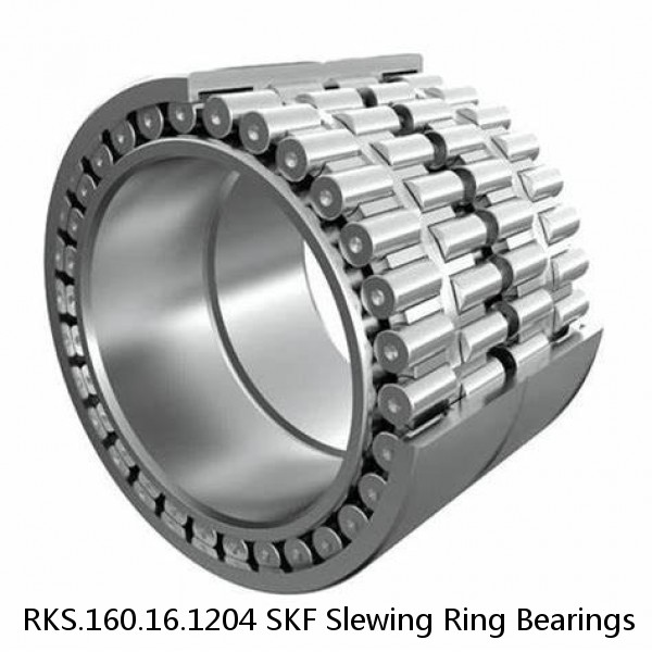 RKS.160.16.1204 SKF Slewing Ring Bearings