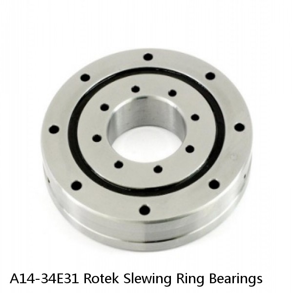 A14-34E31 Rotek Slewing Ring Bearings