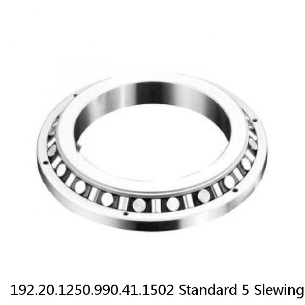 192.20.1250.990.41.1502 Standard 5 Slewing Ring Bearings