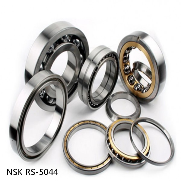 RS-5044 NSK CYLINDRICAL ROLLER BEARING