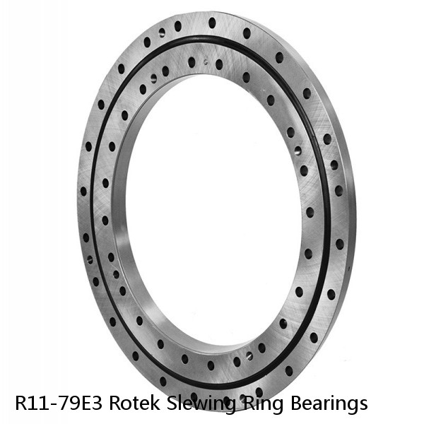 R11-79E3 Rotek Slewing Ring Bearings