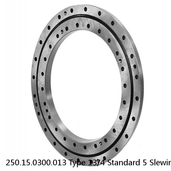 250.15.0300.013 Type 13/4 Standard 5 Slewing Ring Bearings