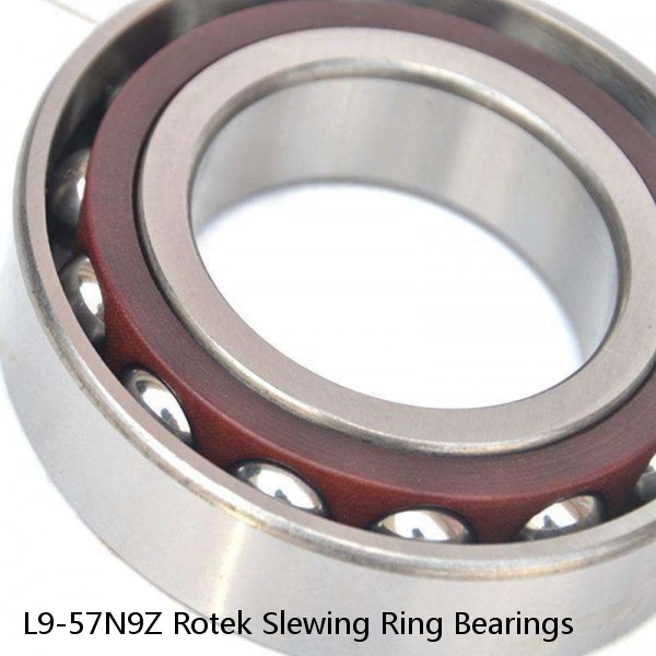 L9-57N9Z Rotek Slewing Ring Bearings