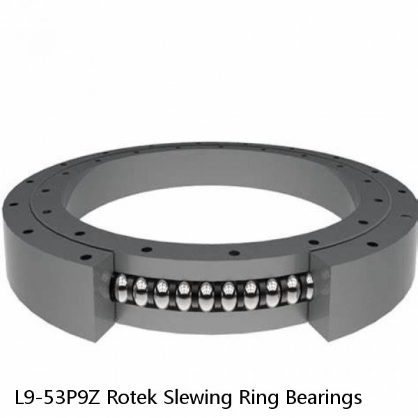 L9-53P9Z Rotek Slewing Ring Bearings