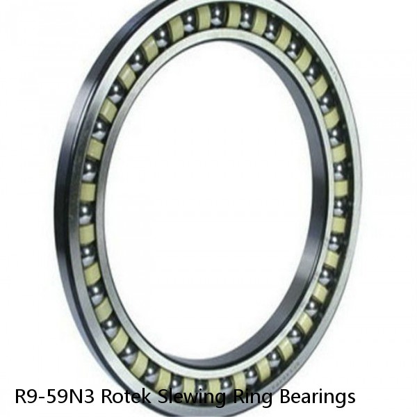 R9-59N3 Rotek Slewing Ring Bearings