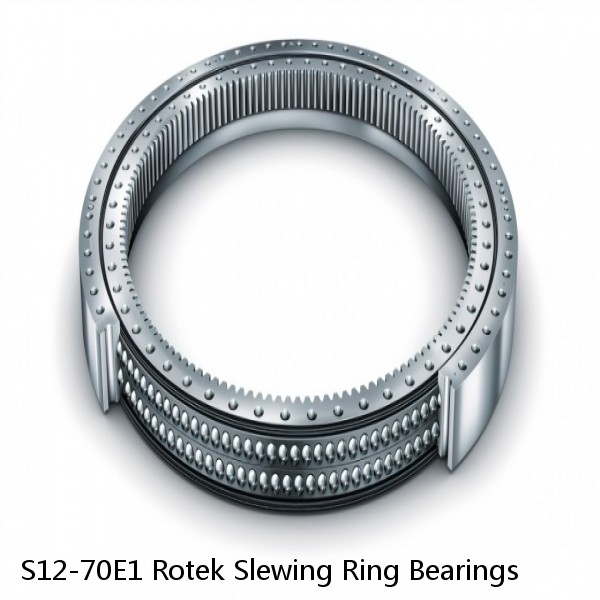 S12-70E1 Rotek Slewing Ring Bearings