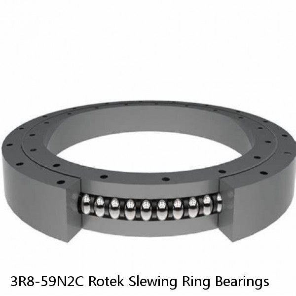 3R8-59N2C Rotek Slewing Ring Bearings