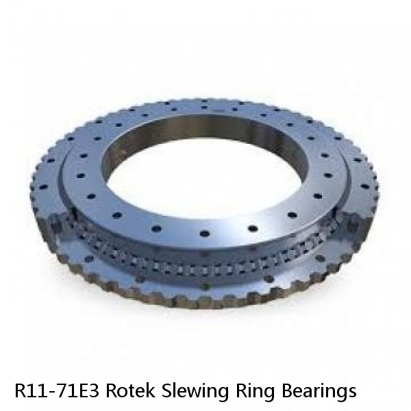 R11-71E3 Rotek Slewing Ring Bearings