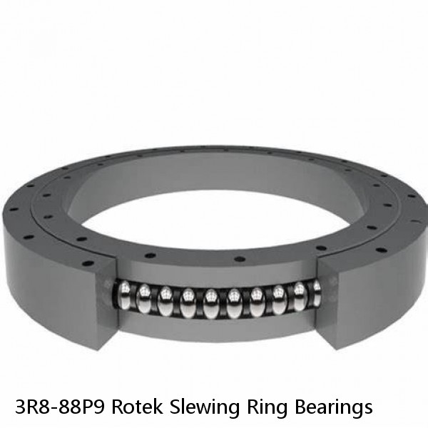 3R8-88P9 Rotek Slewing Ring Bearings