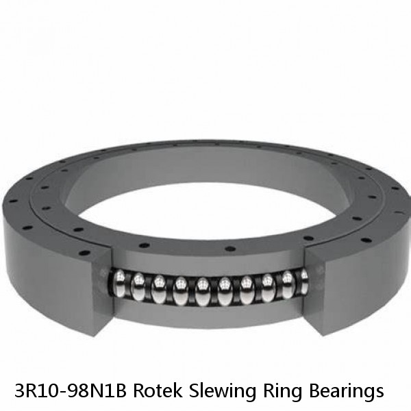 3R10-98N1B Rotek Slewing Ring Bearings