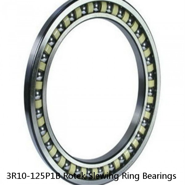 3R10-125P1B Rotek Slewing Ring Bearings