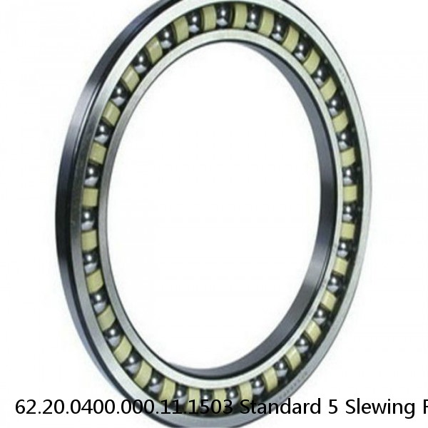 62.20.0400.000.11.1503 Standard 5 Slewing Ring Bearings