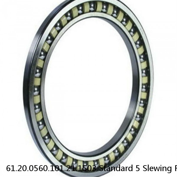 61.20.0560.101.21.1503 Standard 5 Slewing Ring Bearings