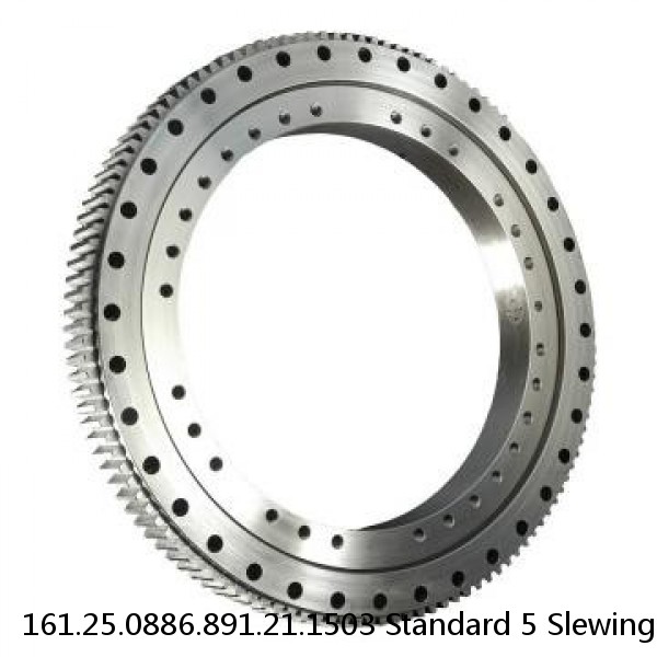 161.25.0886.891.21.1503 Standard 5 Slewing Ring Bearings