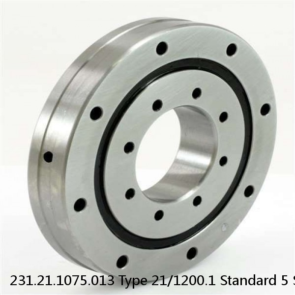 231.21.1075.013 Type 21/1200.1 Standard 5 Slewing Ring Bearings