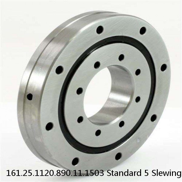 161.25.1120.890.11.1503 Standard 5 Slewing Ring Bearings