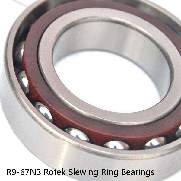 R9-67N3 Rotek Slewing Ring Bearings