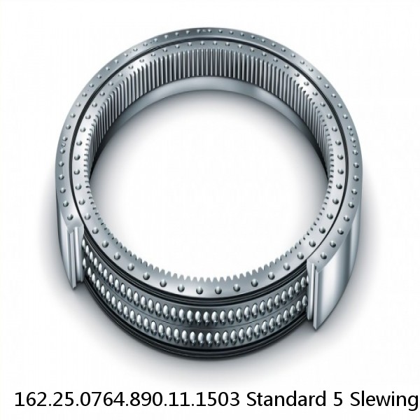 162.25.0764.890.11.1503 Standard 5 Slewing Ring Bearings