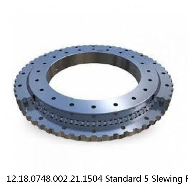 12.18.0748.002.21.1504 Standard 5 Slewing Ring Bearings