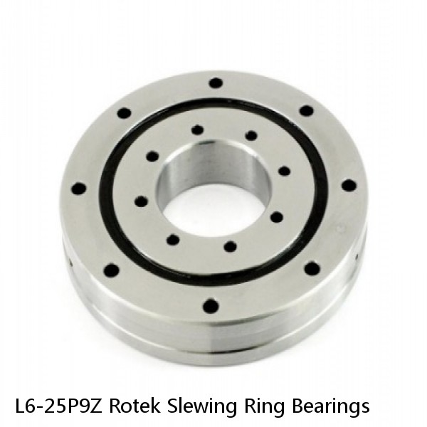 L6-25P9Z Rotek Slewing Ring Bearings