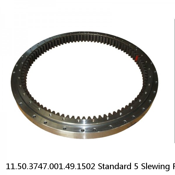 11.50.3747.001.49.1502 Standard 5 Slewing Ring Bearings