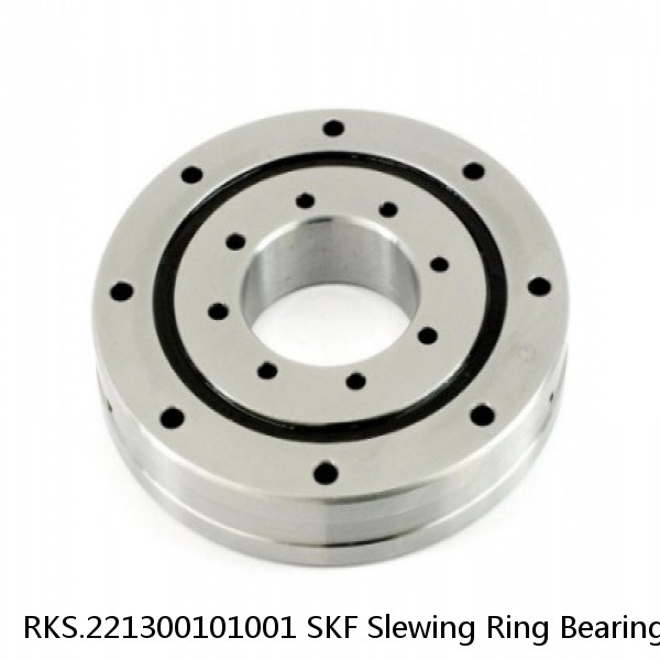 RKS.221300101001 SKF Slewing Ring Bearings