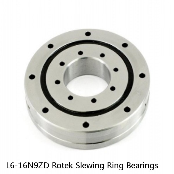 L6-16N9ZD Rotek Slewing Ring Bearings