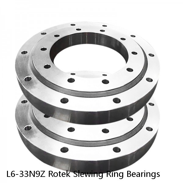 L6-33N9Z Rotek Slewing Ring Bearings