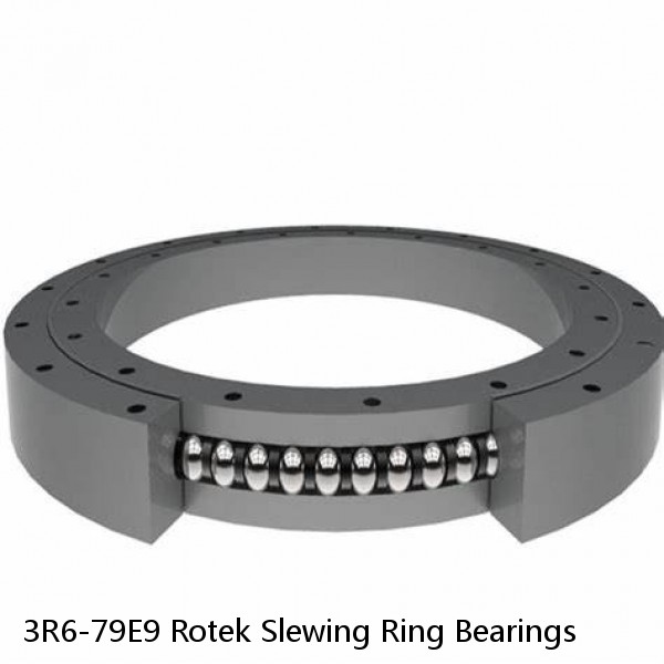 3R6-79E9 Rotek Slewing Ring Bearings