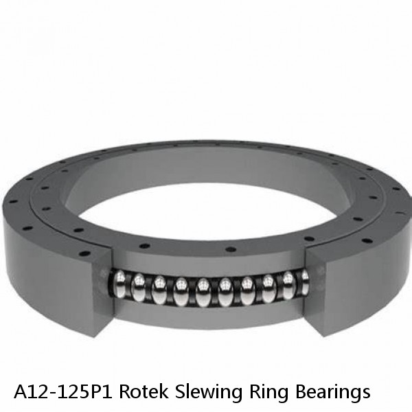 A12-125P1 Rotek Slewing Ring Bearings