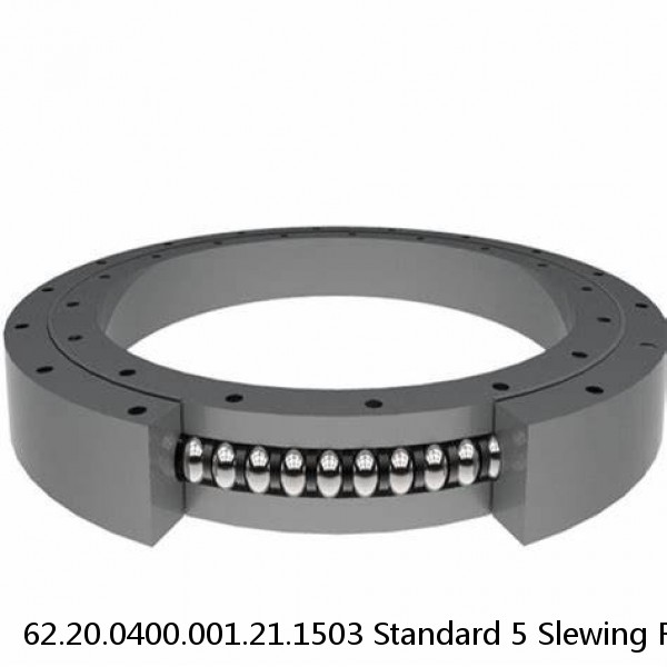 62.20.0400.001.21.1503 Standard 5 Slewing Ring Bearings