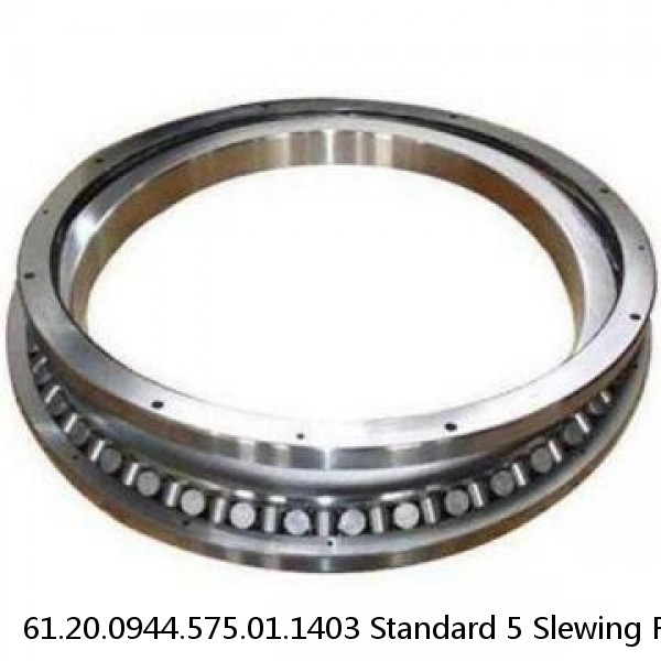 61.20.0944.575.01.1403 Standard 5 Slewing Ring Bearings