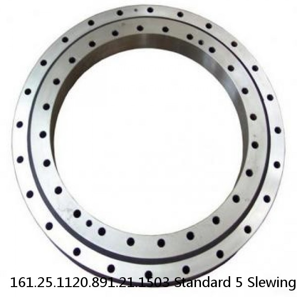 161.25.1120.891.21.1503 Standard 5 Slewing Ring Bearings