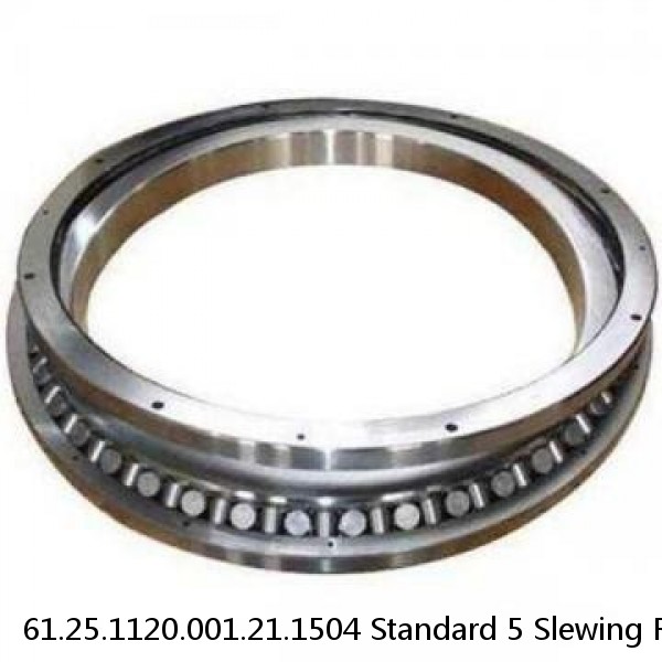 61.25.1120.001.21.1504 Standard 5 Slewing Ring Bearings