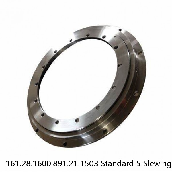 161.28.1600.891.21.1503 Standard 5 Slewing Ring Bearings