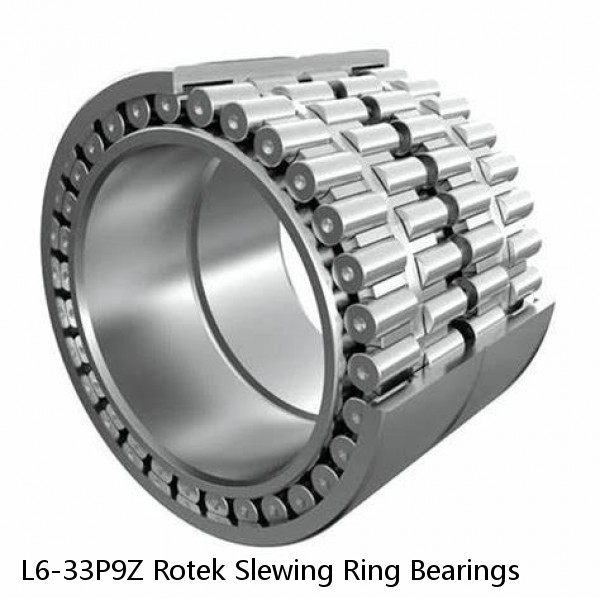 L6-33P9Z Rotek Slewing Ring Bearings