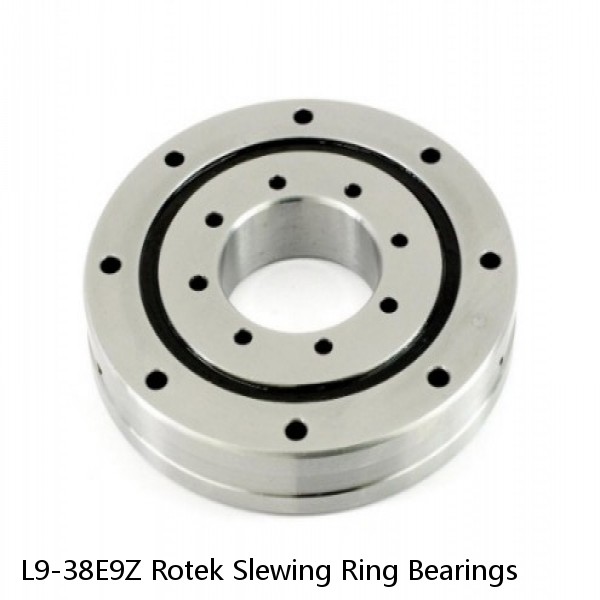 L9-38E9Z Rotek Slewing Ring Bearings