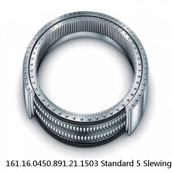 161.16.0450.891.21.1503 Standard 5 Slewing Ring Bearings