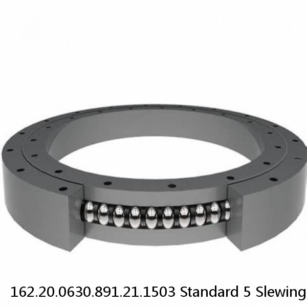 162.20.0630.891.21.1503 Standard 5 Slewing Ring Bearings