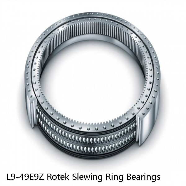 L9-49E9Z Rotek Slewing Ring Bearings