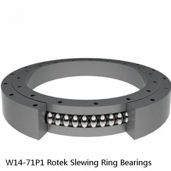 W14-71P1 Rotek Slewing Ring Bearings