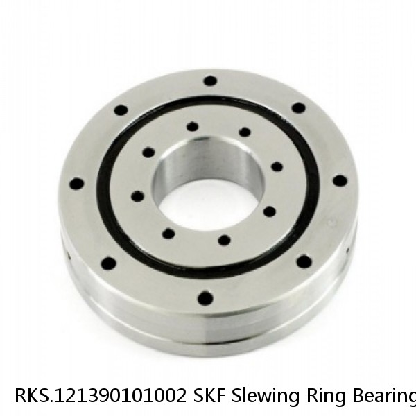 RKS.121390101002 SKF Slewing Ring Bearings