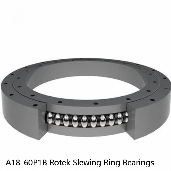 A18-60P1B Rotek Slewing Ring Bearings