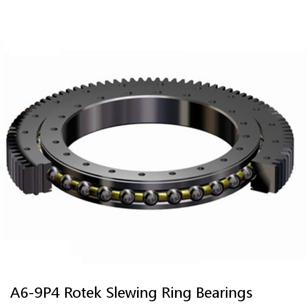 A6-9P4 Rotek Slewing Ring Bearings