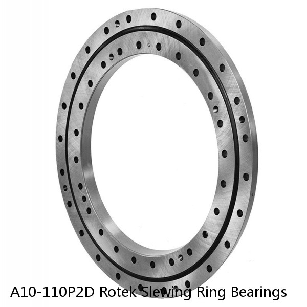 A10-110P2D Rotek Slewing Ring Bearings