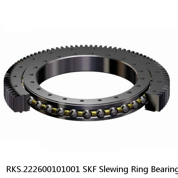 RKS.222600101001 SKF Slewing Ring Bearings