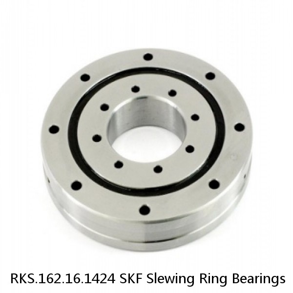 RKS.162.16.1424 SKF Slewing Ring Bearings